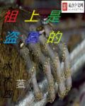 祖上是盗墓的