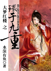 大梦红楼之环于九重