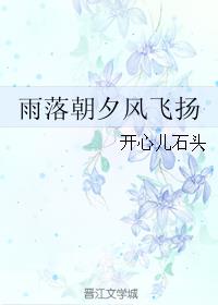 雨落朝夕风飞扬