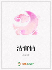 清宫情