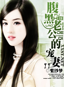 腹黑老公的宠妻II