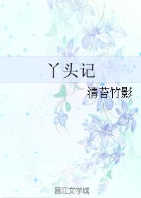 丫头记