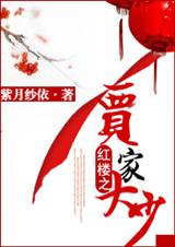 （红楼同人）红楼之贾家大少