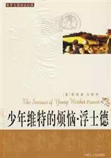 少年维特的烦恼