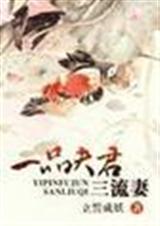 一品夫君三流妻(全)