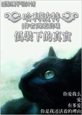 HP伪装下的真实