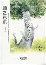 婚之若木